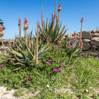 Foto I Dammusi dell'Imbriacola a Lampedusa